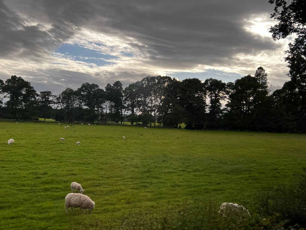 Planes, Trains, Busses, and Ferries: On the Way to&nbsp;Iona